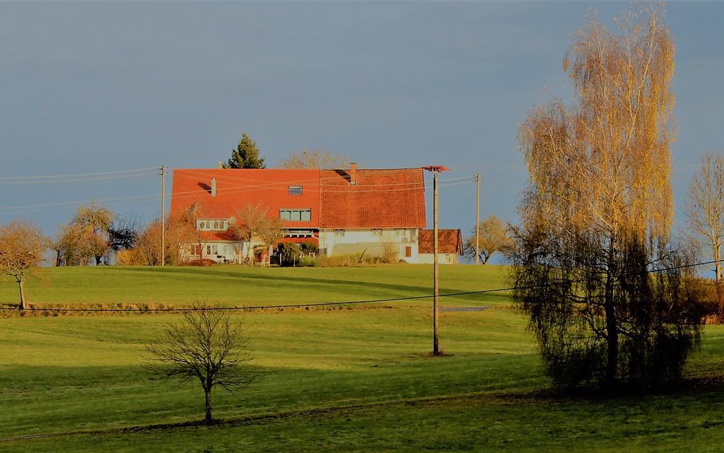 Apartment Rupp